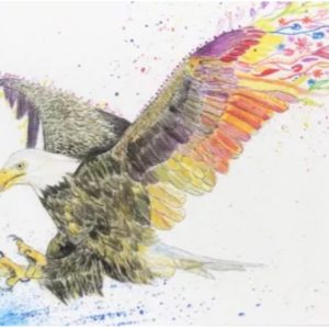 eagle themed art print eco friendly cards- eagle