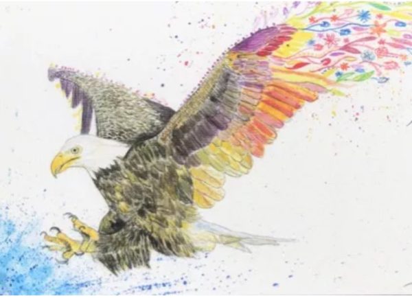 eagle themed art print eco friendly cards- eagle