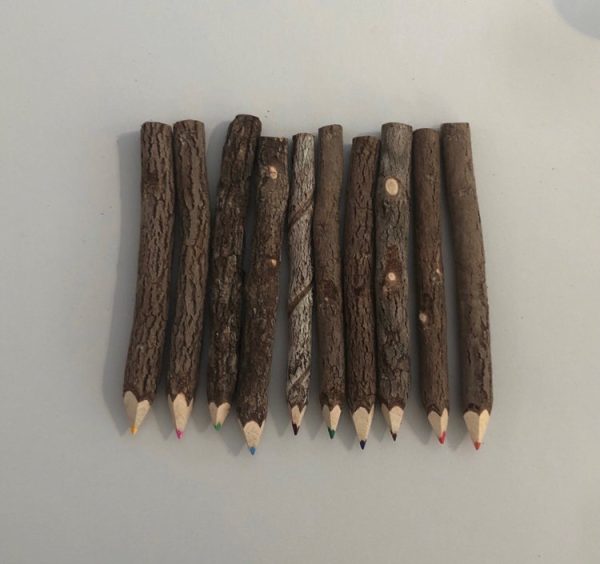 Coloured pencils made from natural twigs