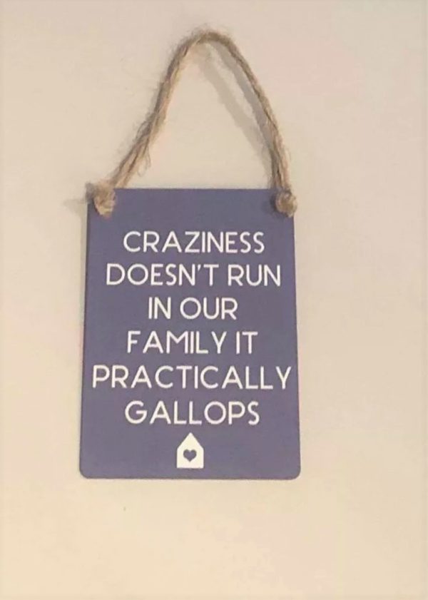 Crazy family novelty mini metal sign