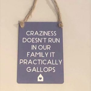 Crazy family novelty mini metal sign