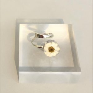 Daisy real flower silver ring