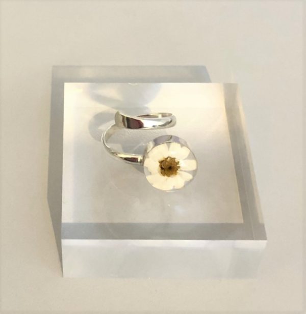 Daisy real flower silver ring