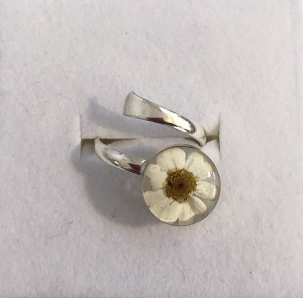 Daisy real flower silver ring