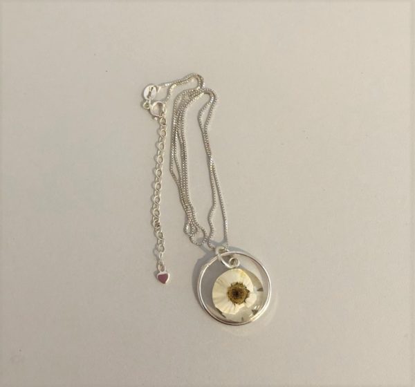 Daisy with silver surround pendant ne