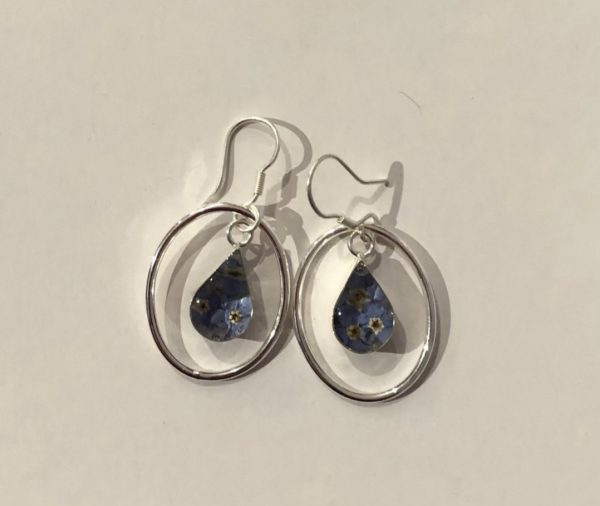 Forget Me Not real flower Teardrop Earrings with Silver Surround