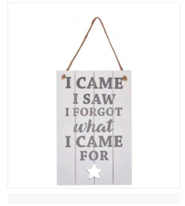 I came i saw i forgot what i came for wooden sign