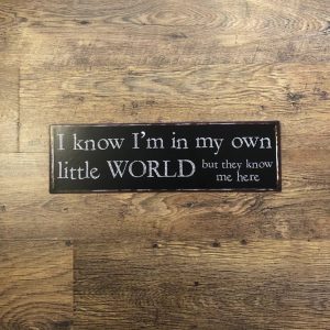 I know I'm in my own little world but everyone knows me here metal sign