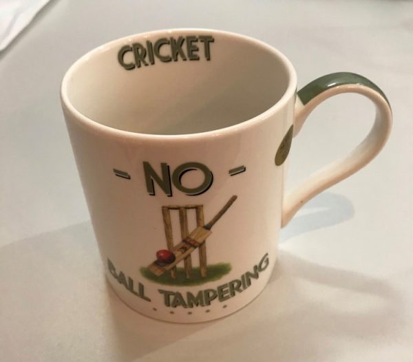 novelty cricket themed mug