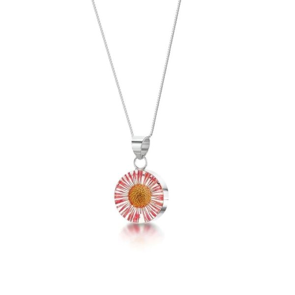 real pink daisy in a silver pendant on a delicate sterling silver chain