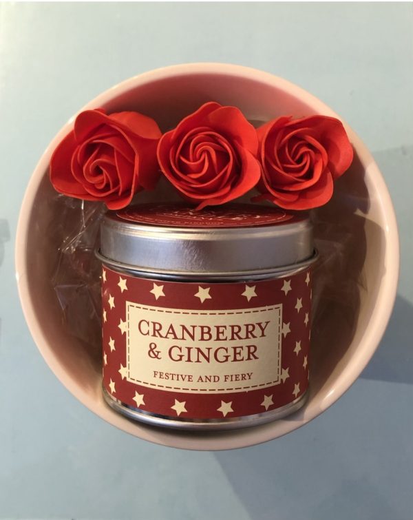 Plant pot gift basket- cranberry & ginger