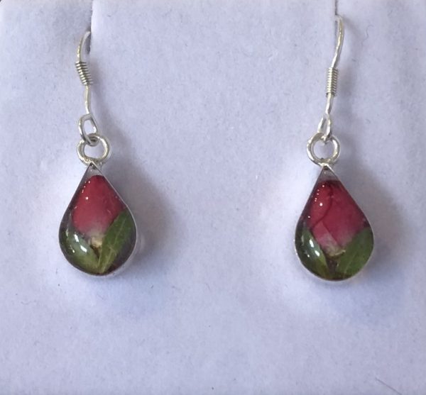 Rosebud real flower silver teardrop earrings