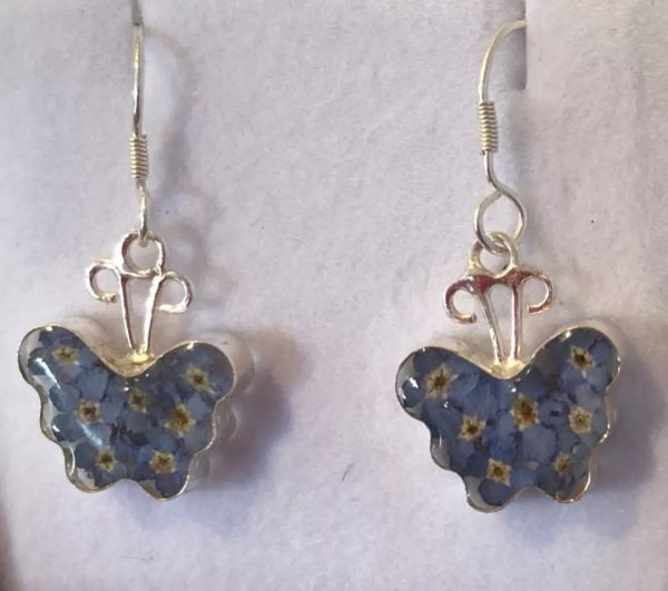 Silver butterfly forget me not real flower earrings