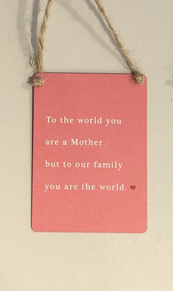 To the world you are a mother but to our family you are the world mini metal sign