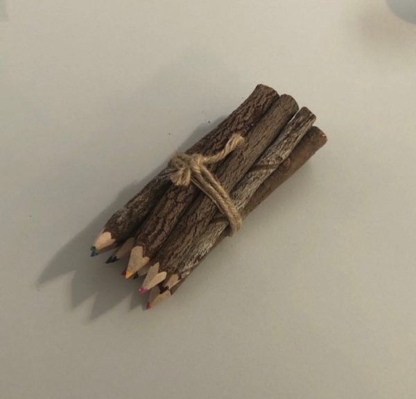 Natural twig coloured pencils