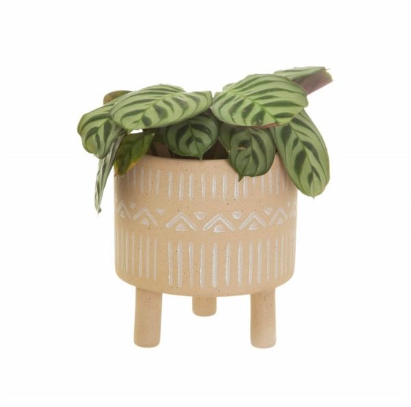 Sass and belle sofia leggy planter