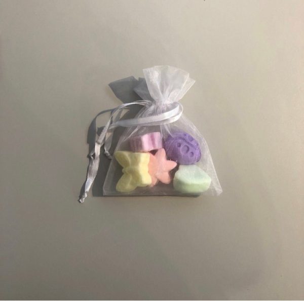 organza gif bag with 5 natural soy wax melts